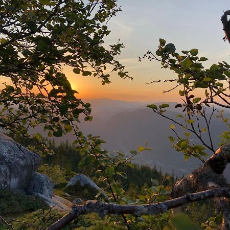 Dalen I Telemark Holiday Home With Garden Екстер'єр фото