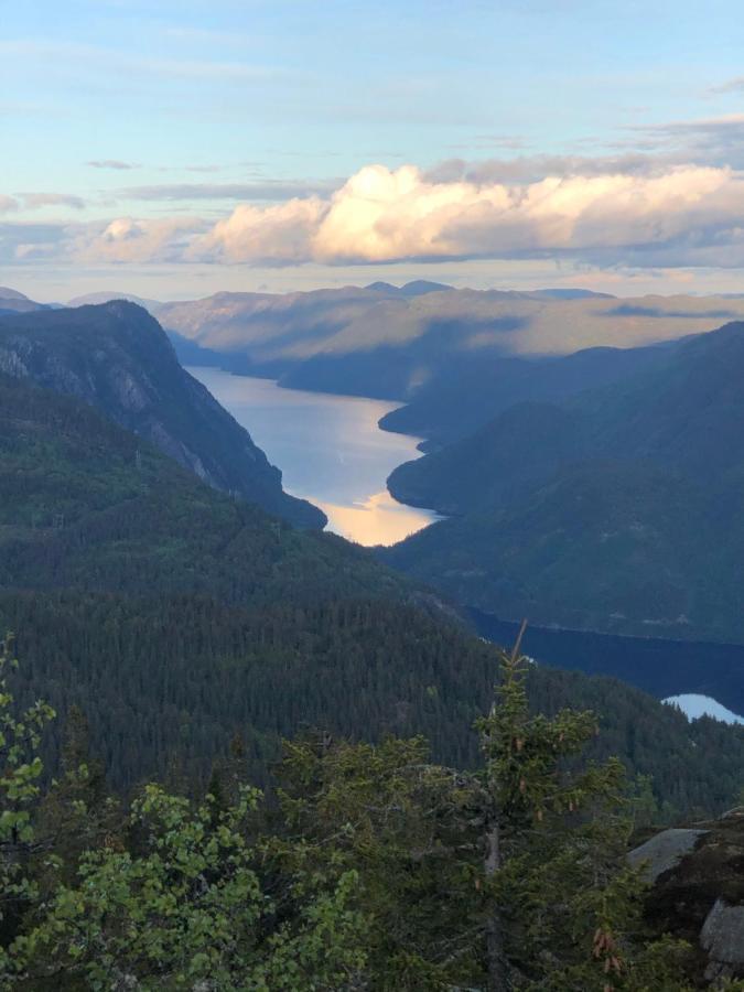 Dalen I Telemark Holiday Home With Garden Екстер'єр фото